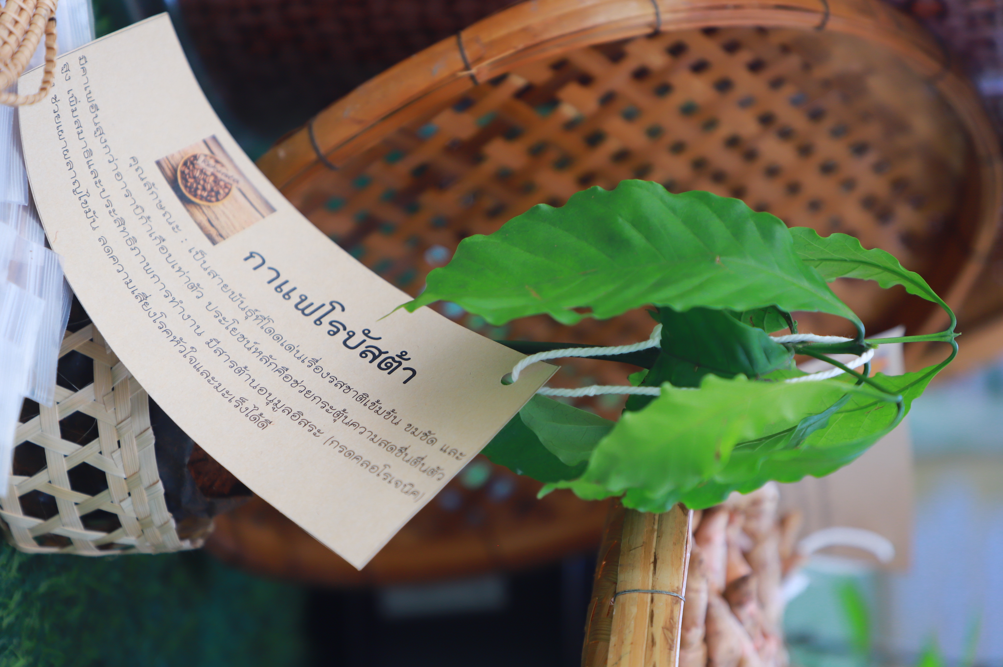 title - รองเลขาฯ ส.ป.ก. ร่วมงานมหกรรม “จากพันธุกรรม สู่ความยั่งยืน” รวมพลังอนุรักษ์ทรัพยากรไทย สร้างความมั่นคงทางอาหารอย่างยั่งยืน และการพึ่งพาตนเองในยามวิกฤต